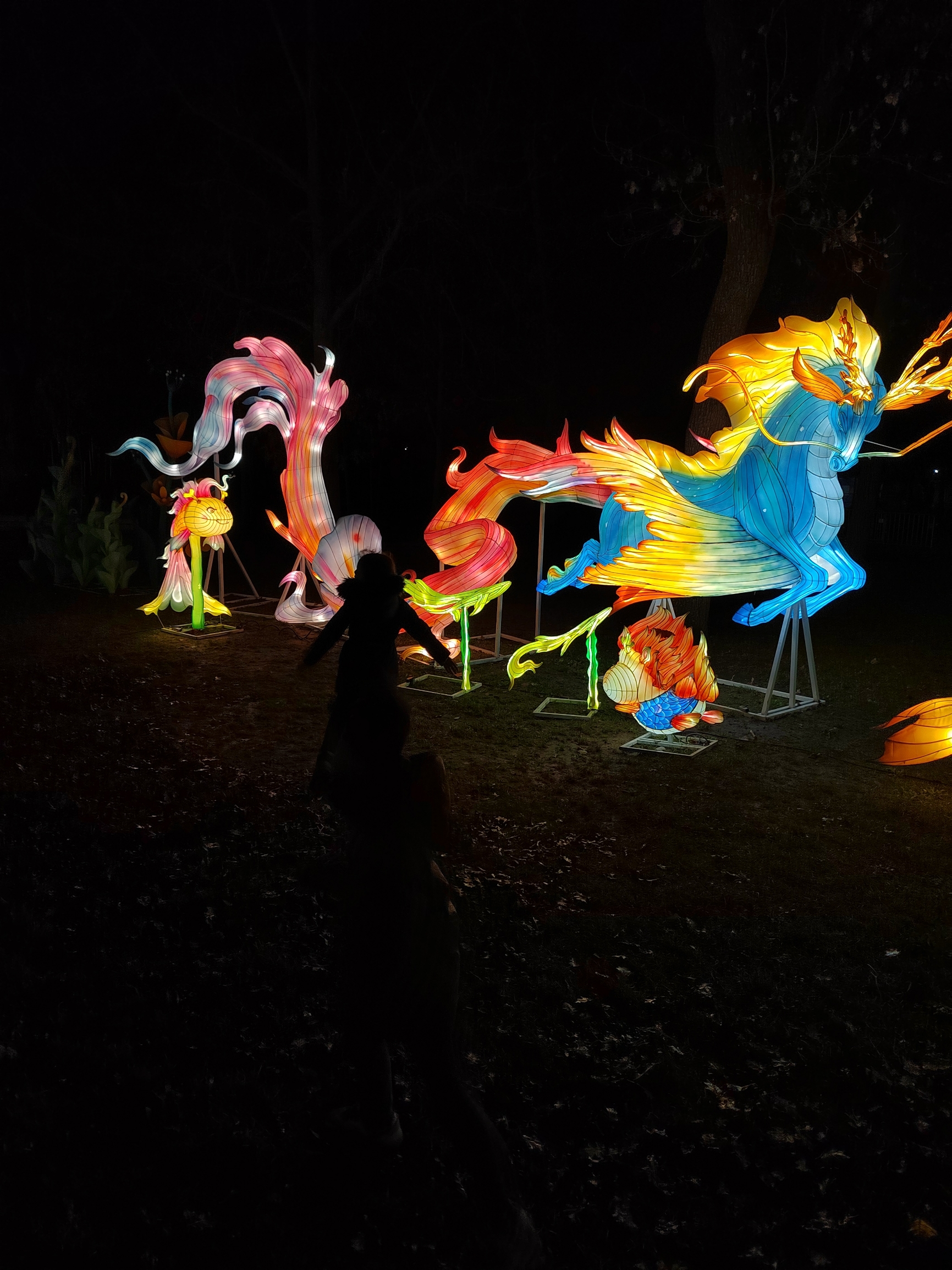在巴黎的气候公园近lv博物馆举办的上海豫园设计的山海经灯展很好的展现了中国文化。里。里面还有中国传统