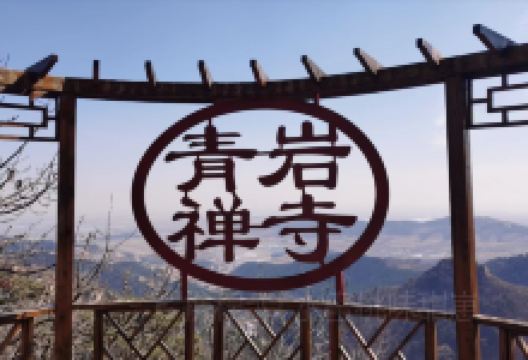 老庞家水馅包子馆美食图片