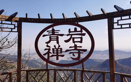 老庞家水馅包子