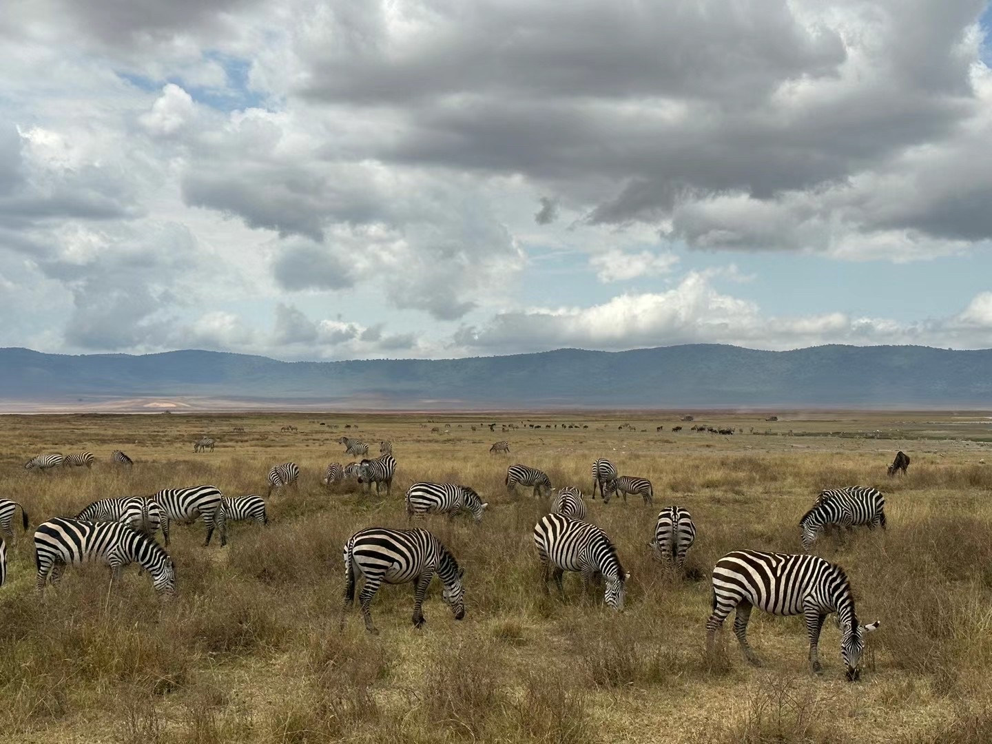 恩戈罗恩戈罗火山口 Ngorongoro Crater 位于坦桑尼亚北部东非大裂谷的死火山口。栖居着