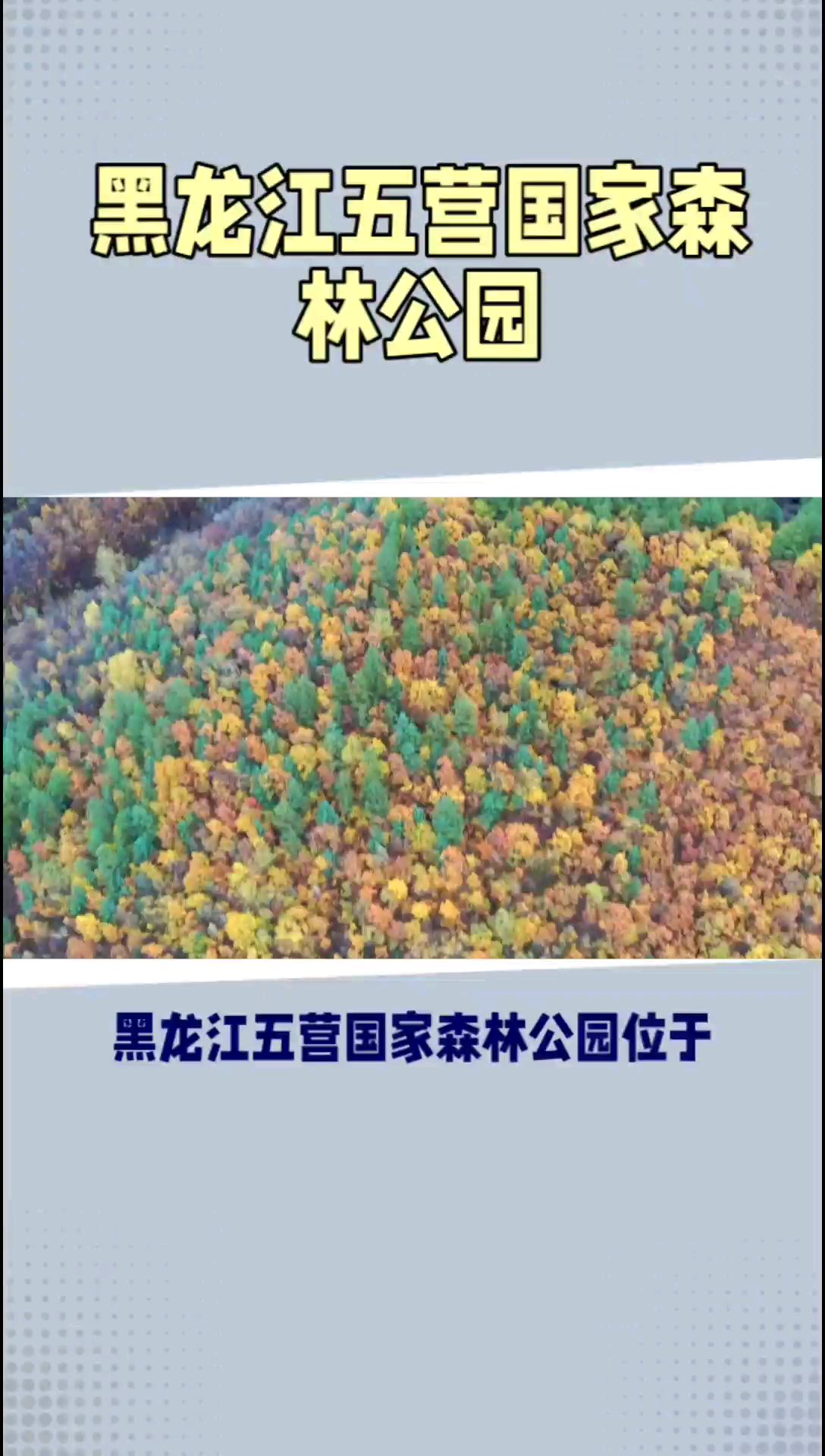 探秘中国红松天堂：黑龙江五营国家森林公园的四季魅力#国内浪漫旅行地 #和朋友出去撒欢儿