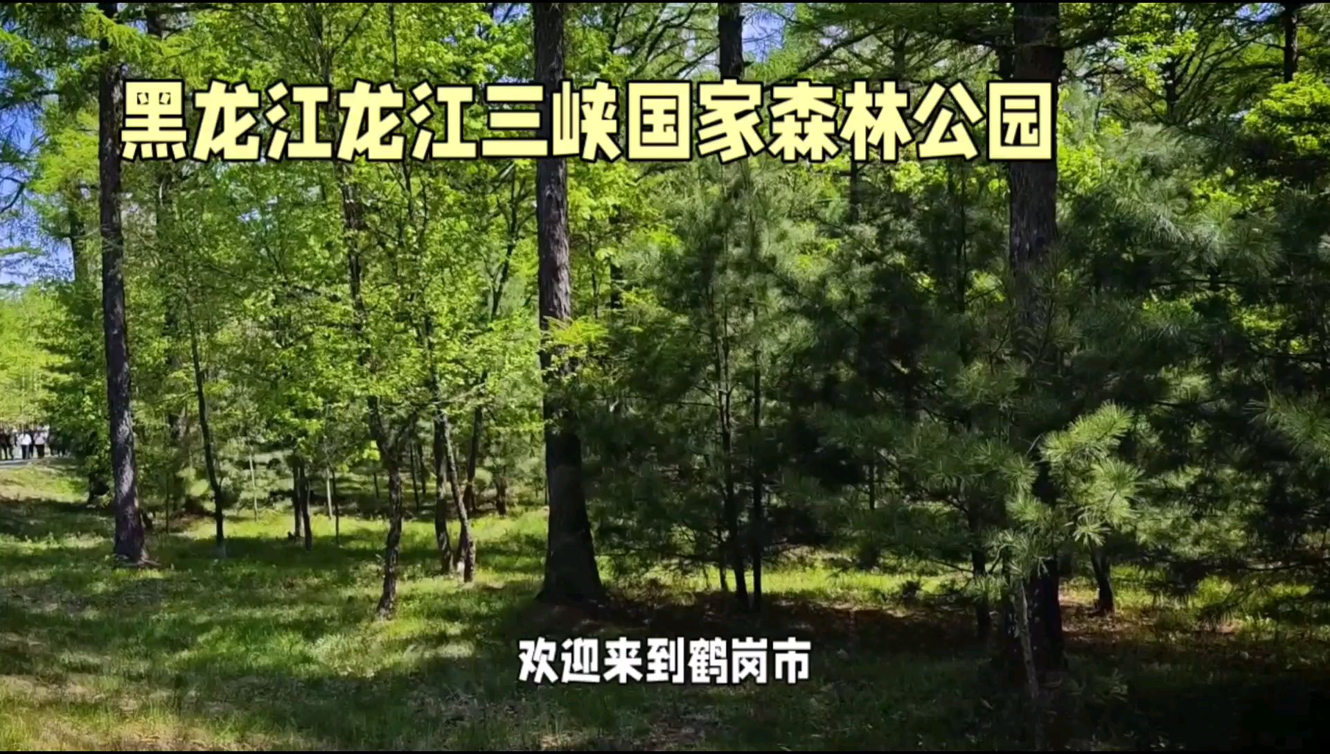 探索大自然杰作：黑龙江龙江三峡国家森林公园