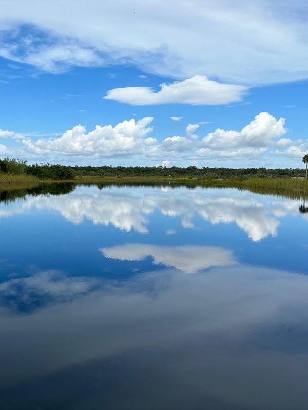 美国令人惊叹的自然奇迹 | 大沼泽地国家公园
