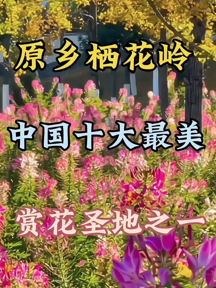 原乡栖花岭，中国十大最美赏花地之一