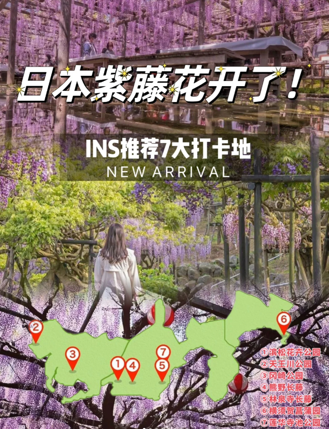 日本紫藤花季，包车赏花才是正确打开方式！