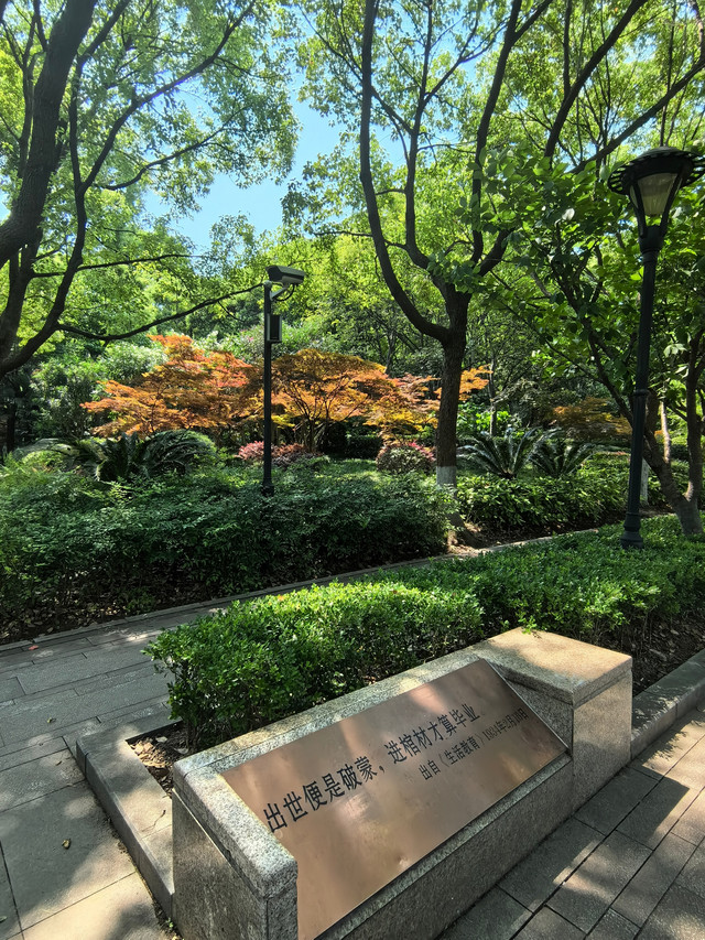 城市公园图鉴|大华行知公园2