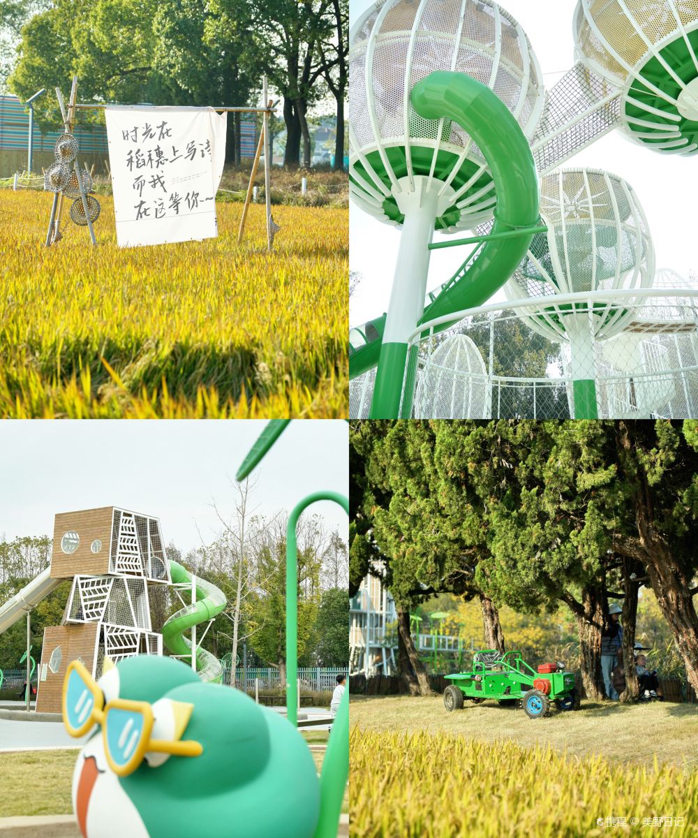 嘉兴开元开森部落图片