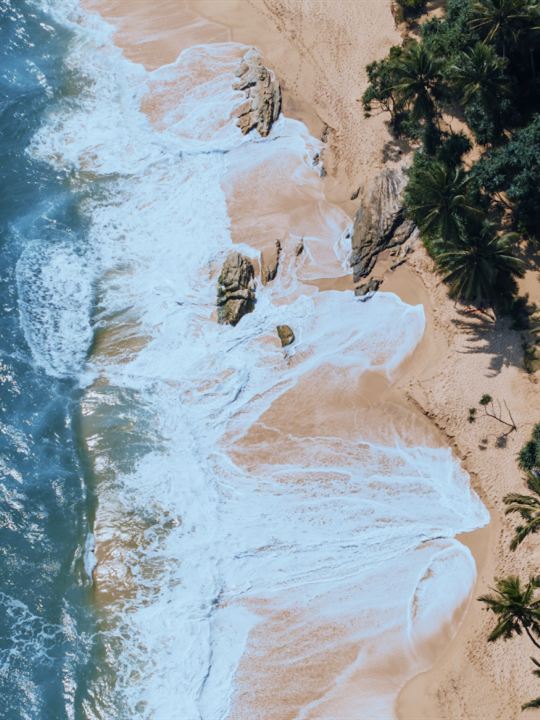斯里兰卡环岛之旅：穿越热带风情与历史遗迹