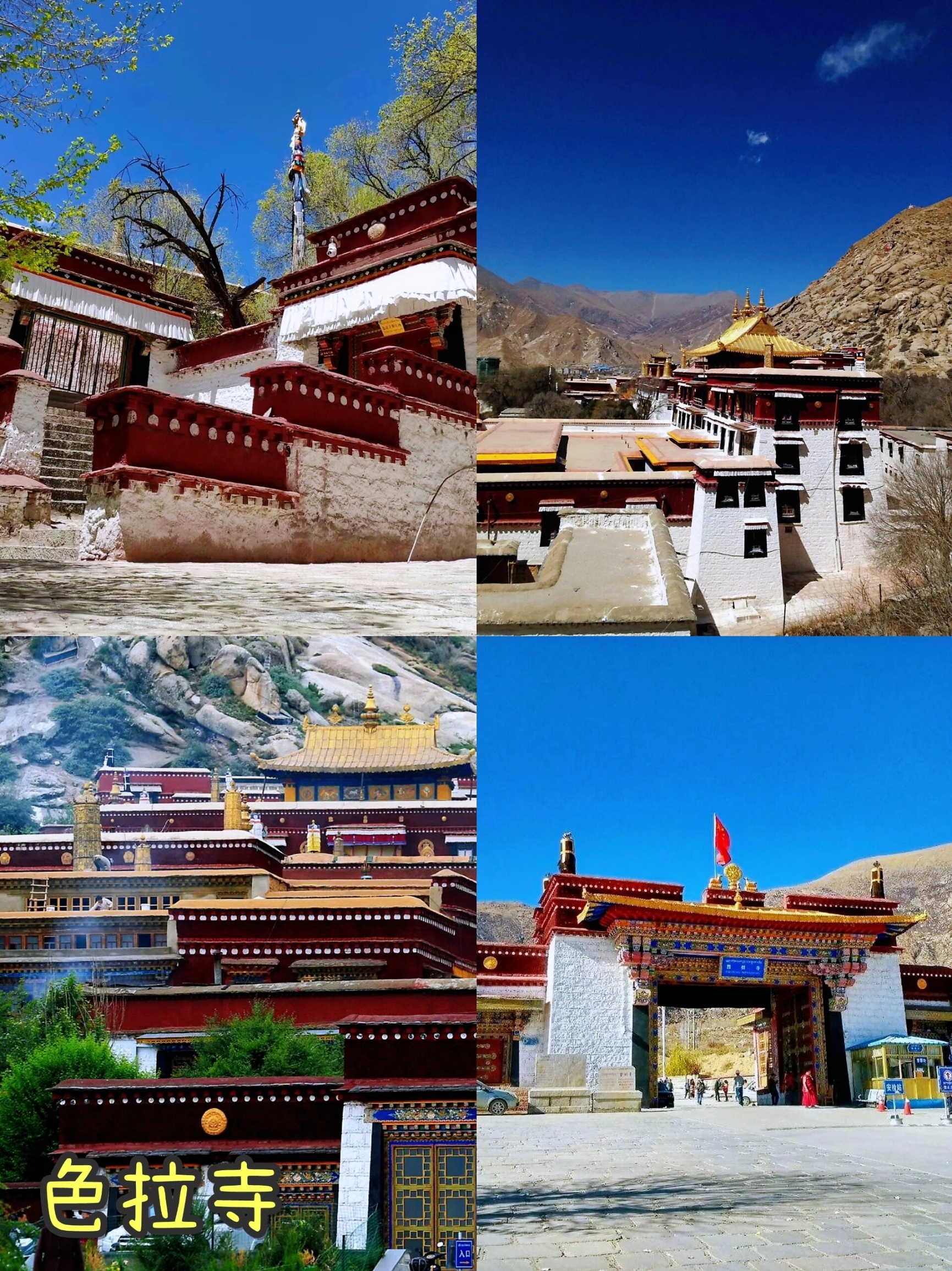 ✨拉萨5日深度游，探索灵魂的纯净之地✨|||西藏旅游|人均3