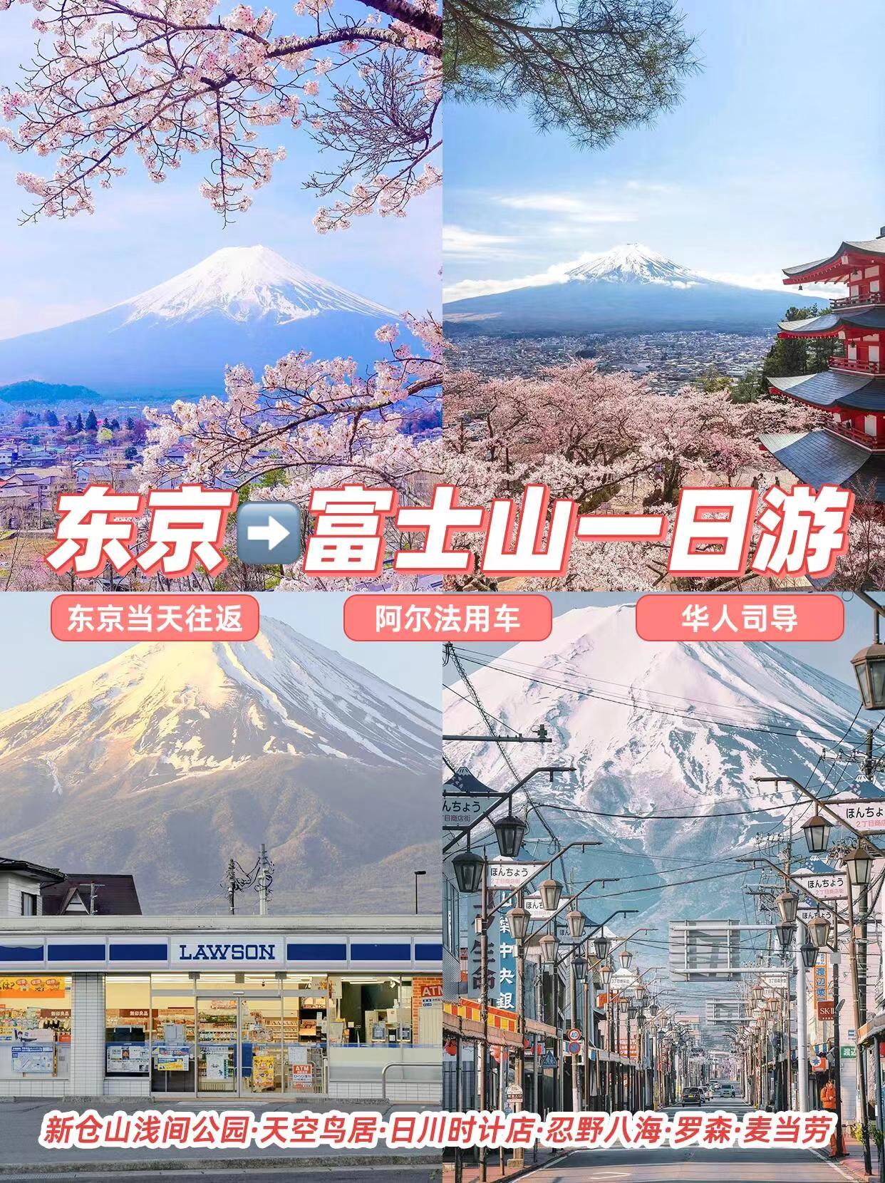东京往返🚩富士山一日游🗻拍照打卡|