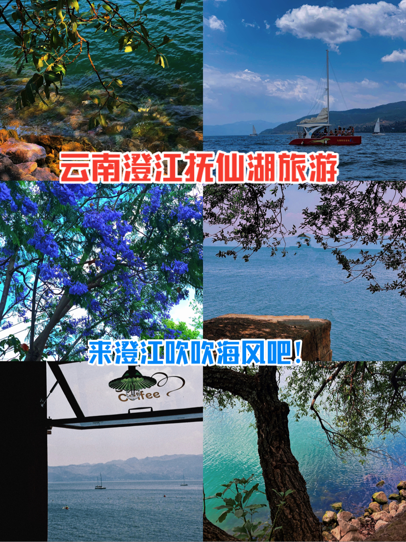 来澄江吹吹海风吧！如此的美丽风景真是人间仙境🤩