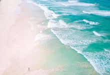 1802 Oyster Bar美食图片