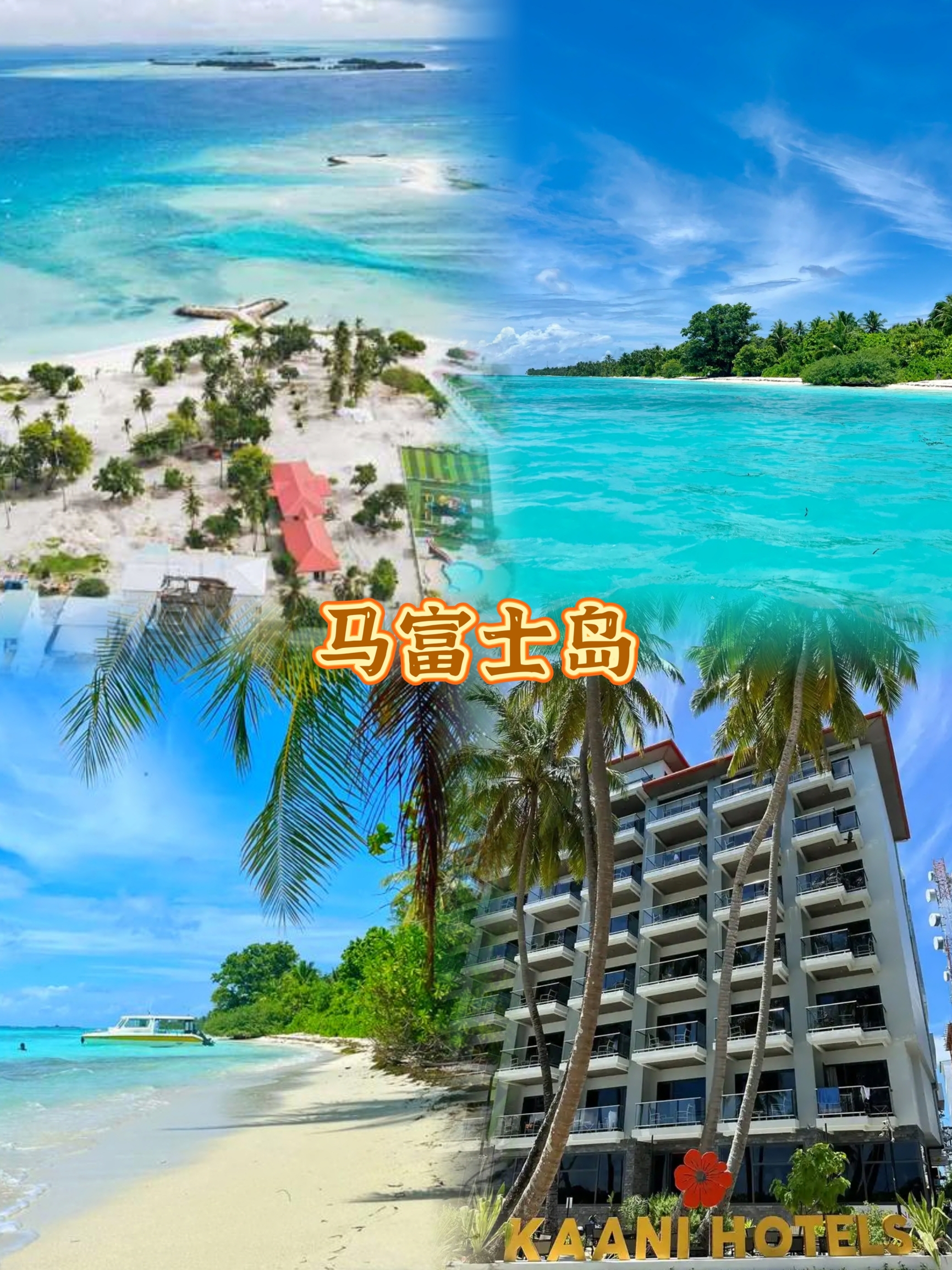 Rosemary Restaurant餐厅图片