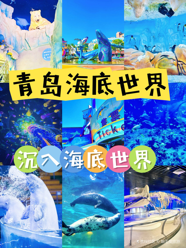 🗺️青岛海底世界详细游玩攻略

♥️青岛海底世界位于青岛市