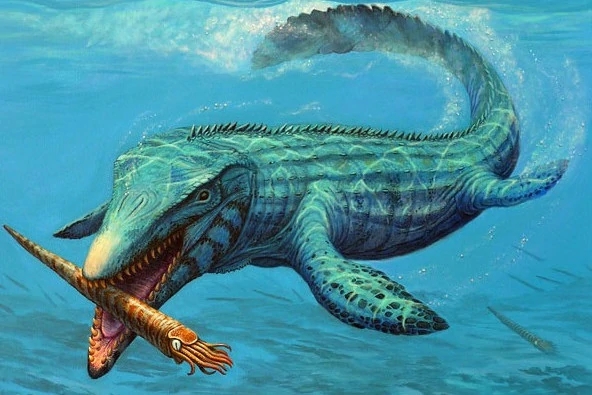 沧龙是有鳞目沧龙科沧龙属的海生爬行动物[9]，其最大个体可达20米左右[18]，身体呈长桶状，尾巴强