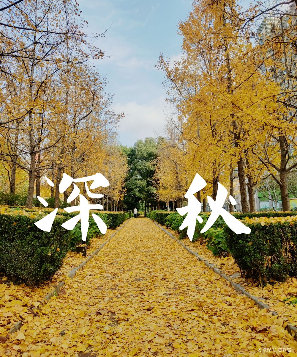 上海徐家汇CitiGO欢阁酒店图片