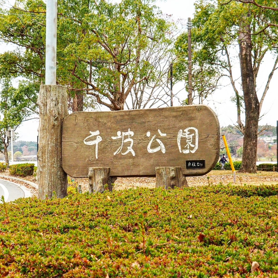 水户千波公园（Mito’s Senba Park），位于日本茨城县水户市，是一个广受欢迎的自然休闲目