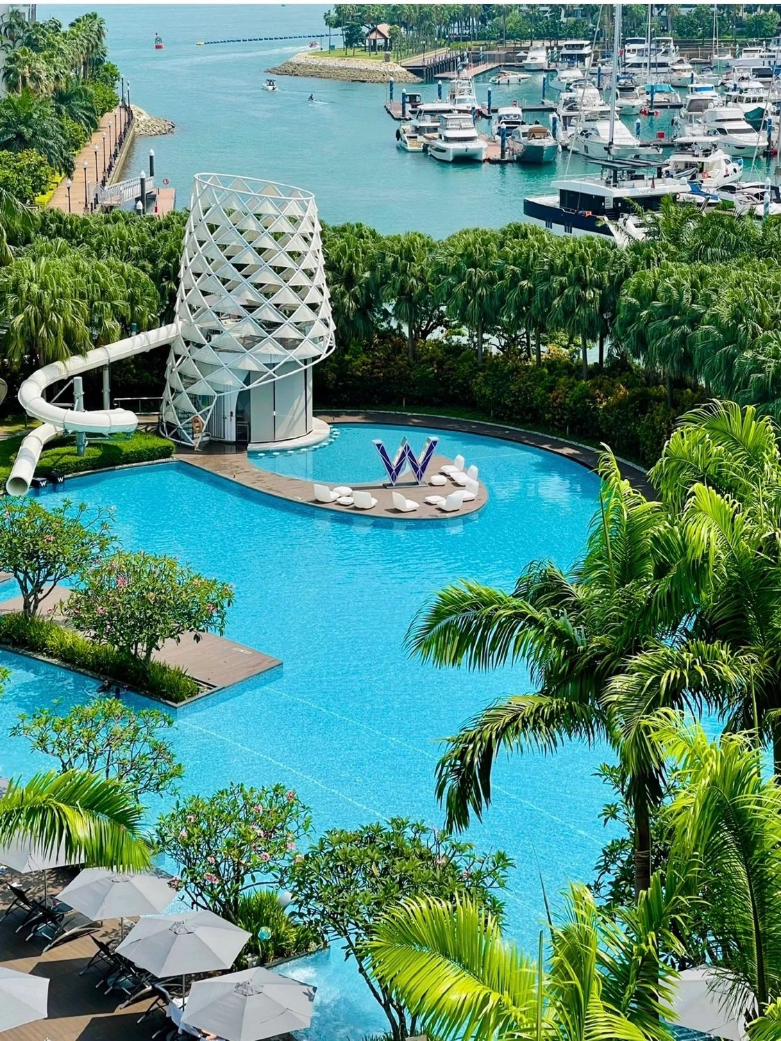 新加坡五星级酒店住宿推荐圣淘沙W酒店白天度假🏖  晚上蹦迪W的