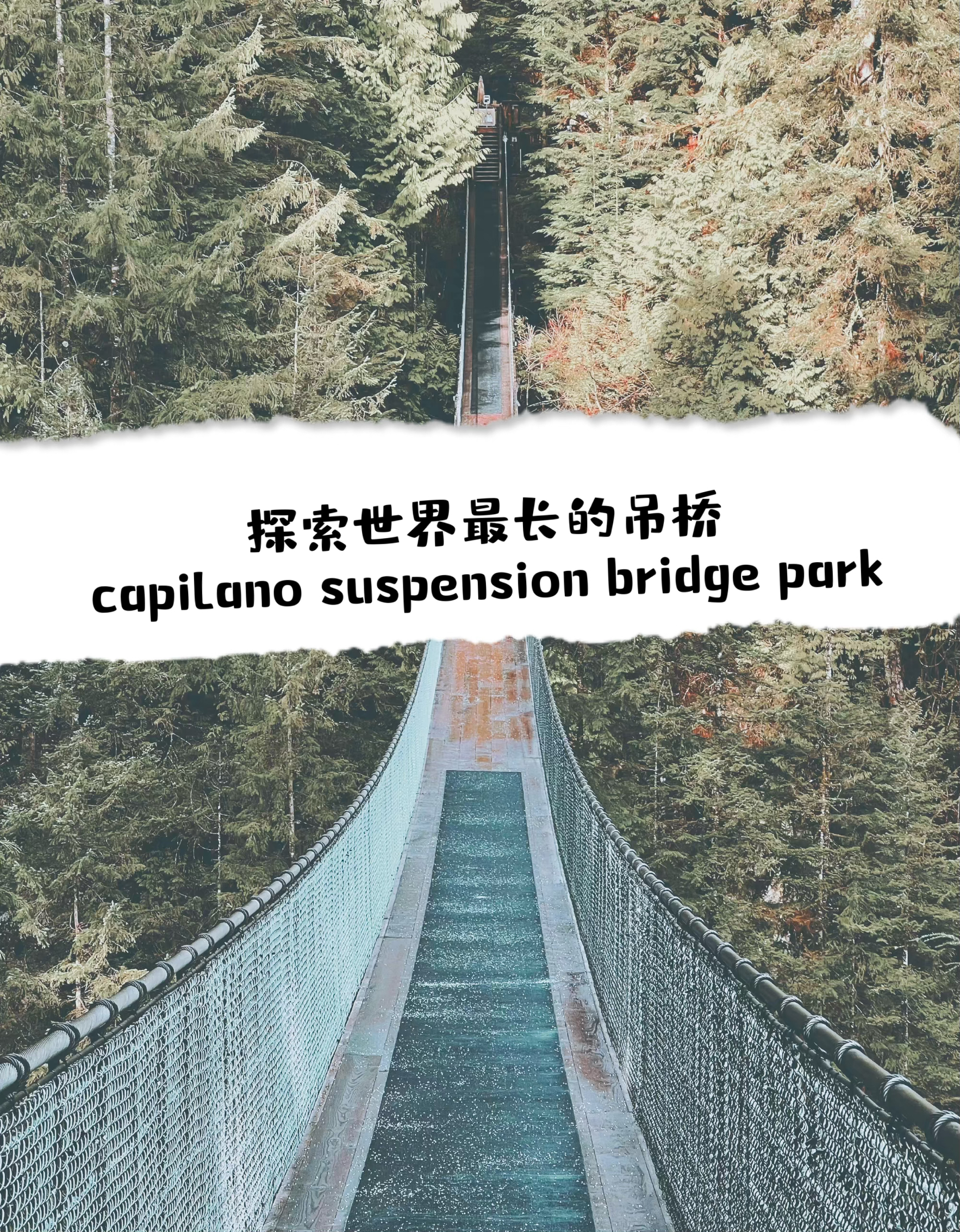 【世界第一】挑战加拿大卡比拉诺悬索桥世界第一吊桥带你畅游云端