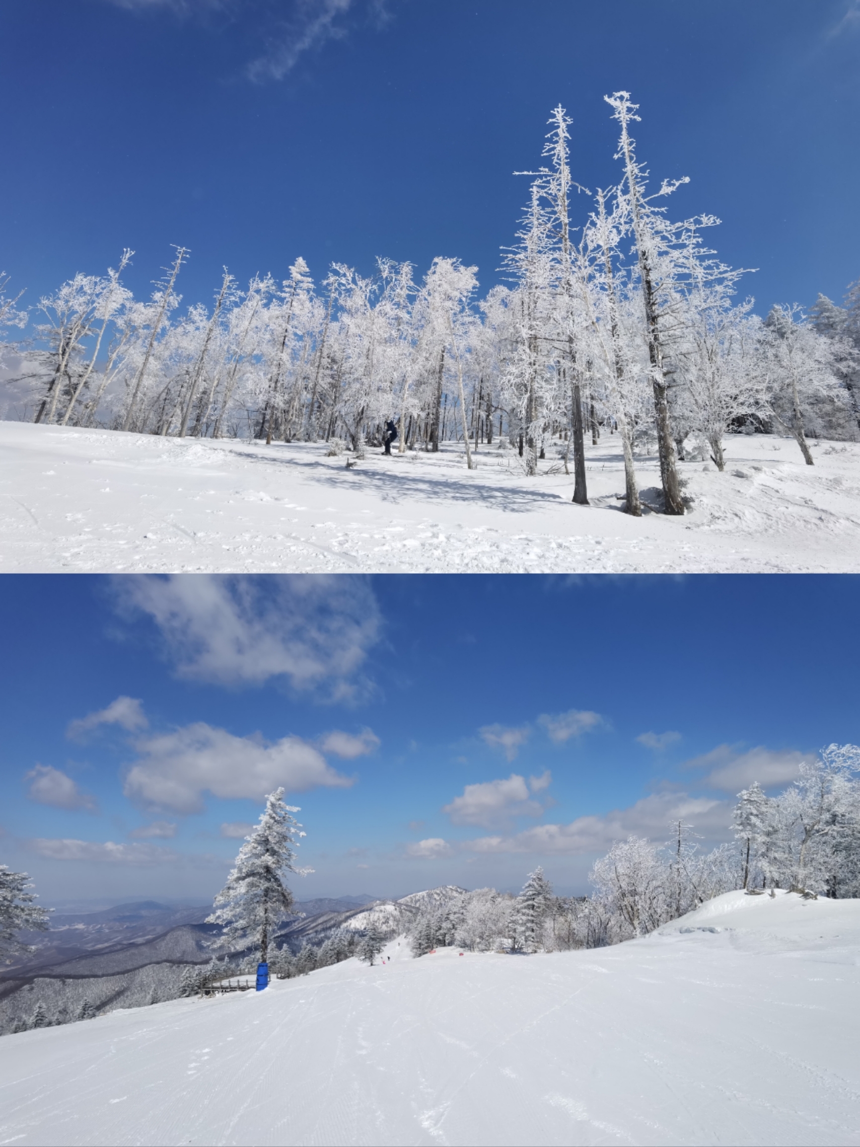 小白勇闯北大湖 |雪季倒计时