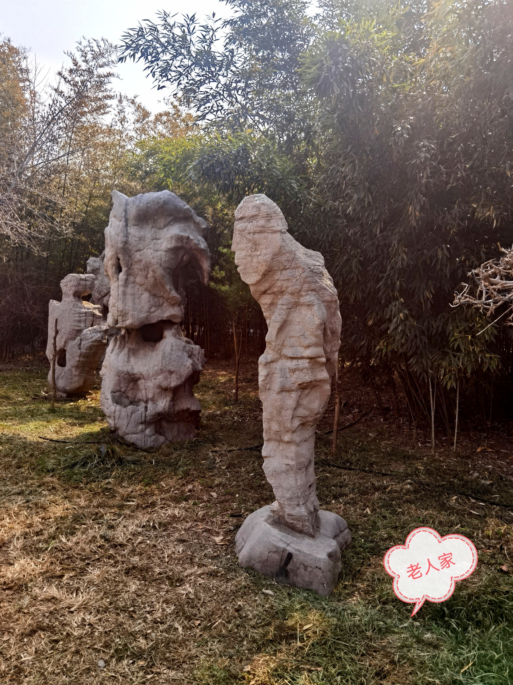 青州古城偶园里面的石头是不是惟妙惟肖！！！