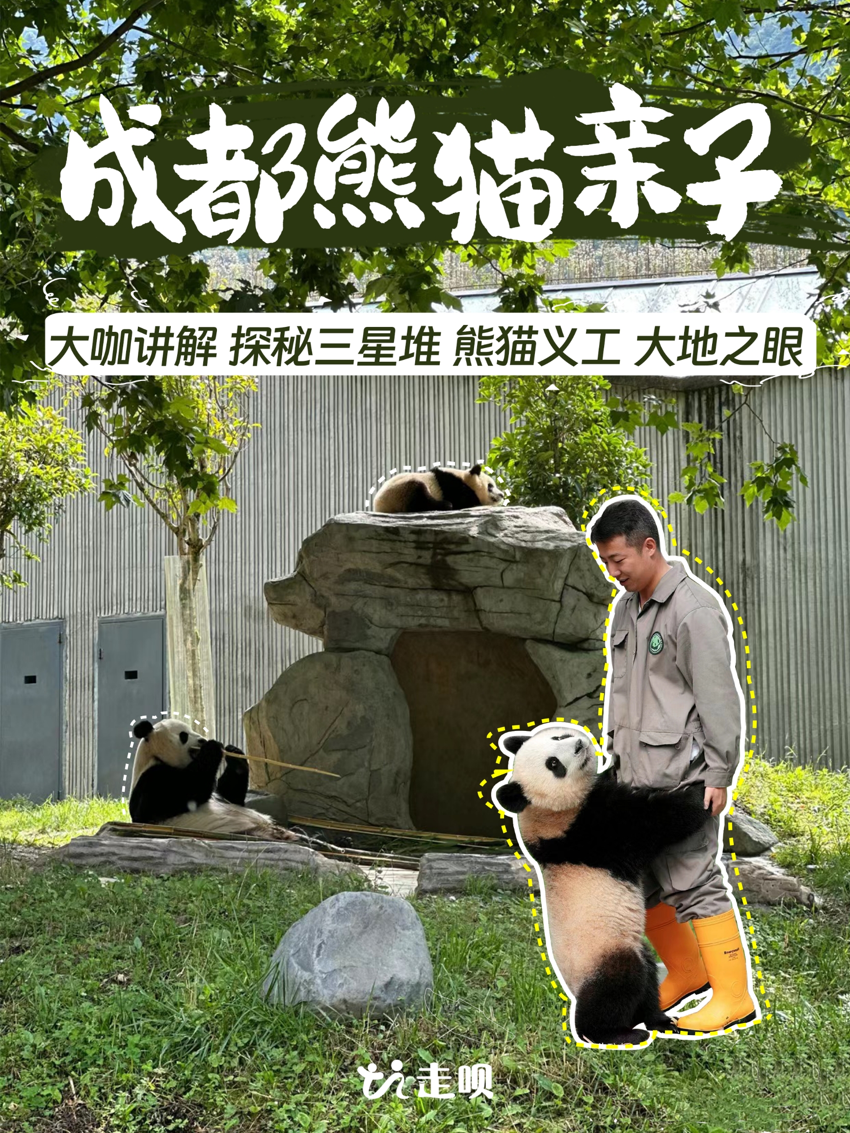 摇身一变熊猫“饲养员”萌娃超爱的四川之旅