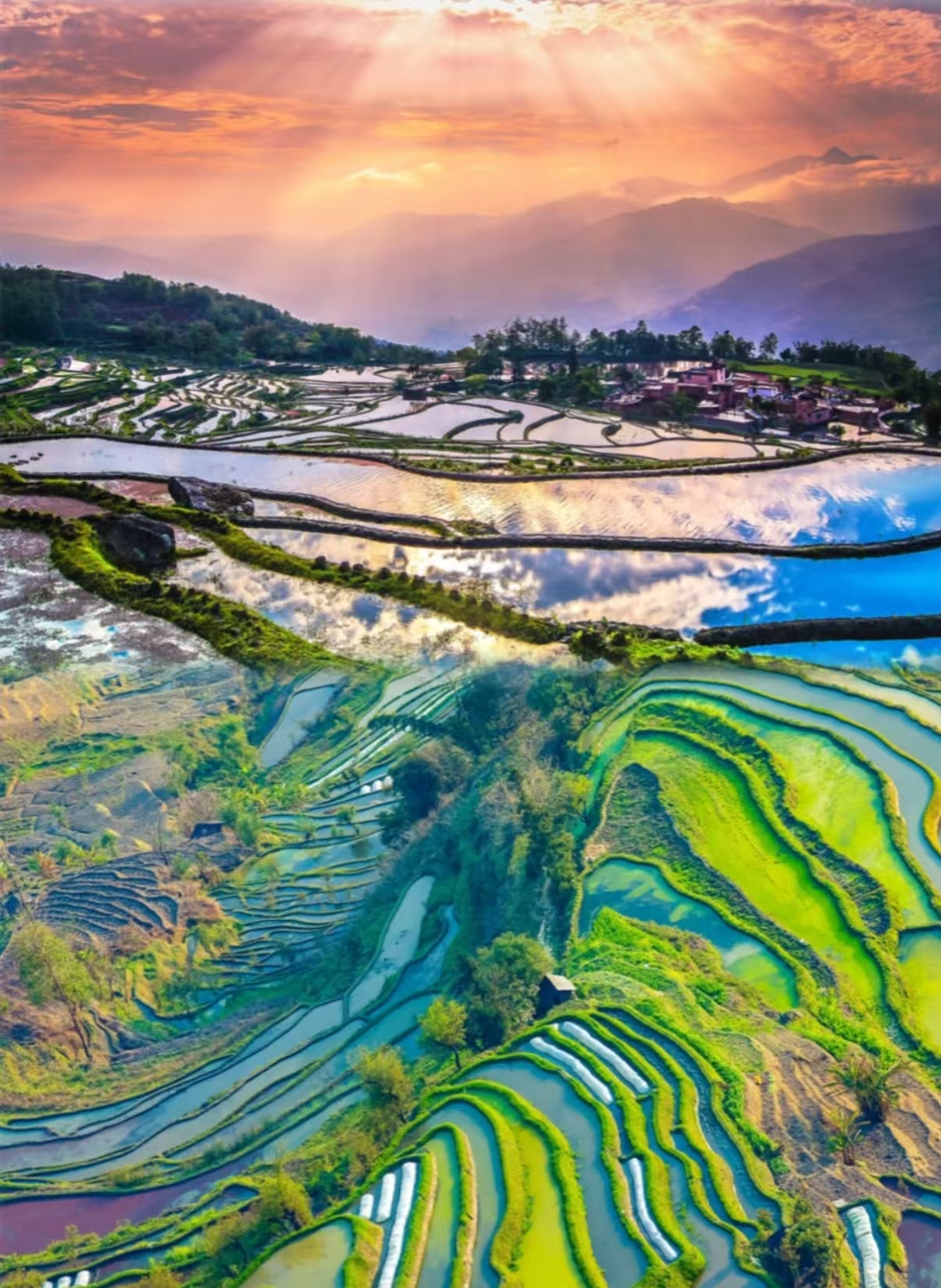 临安饭店(分店)餐厅图片