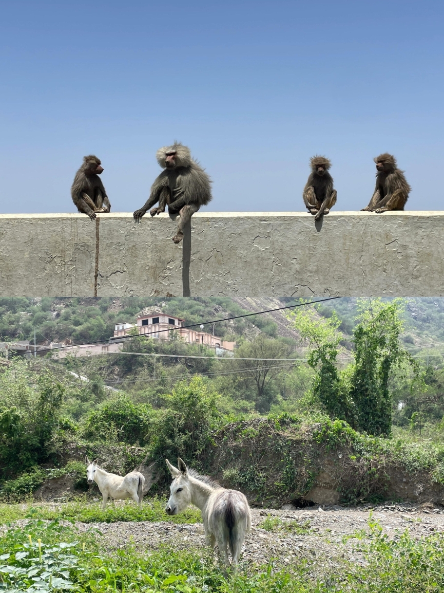 Assalam Palace Hotel 10th Floor Revolving Restuarant