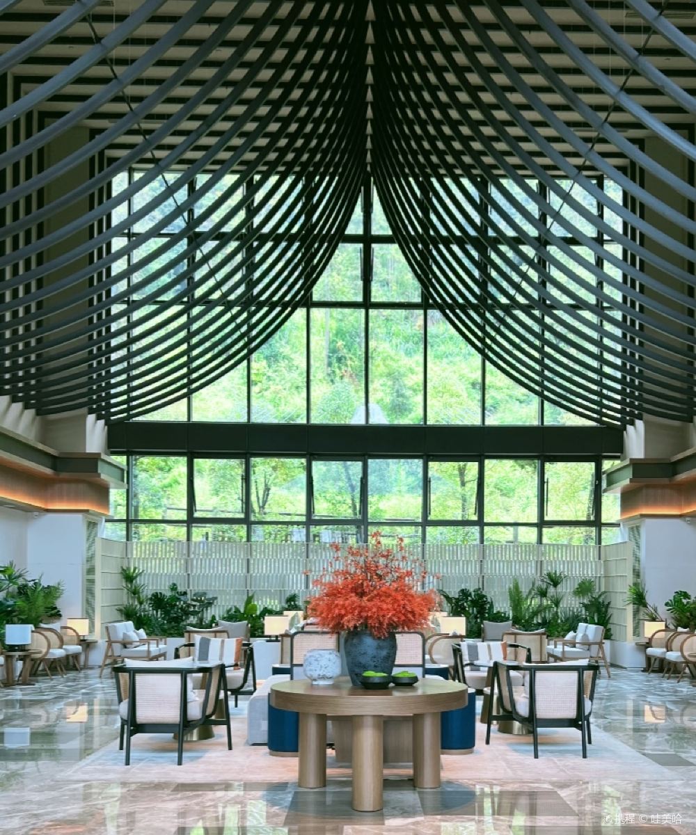 张家界武陵源希尔顿花园酒店(森林公园店)图片