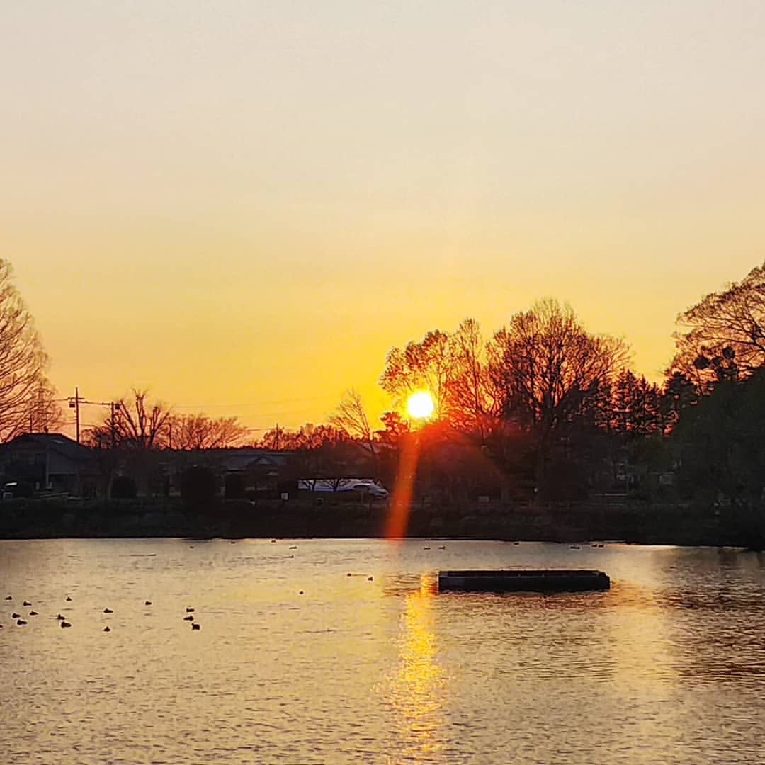 #玩转户外   一の関ため池親水公園是一个位于茨城县的户外休闲场所，融合了自然美景和亲水设施，为当地