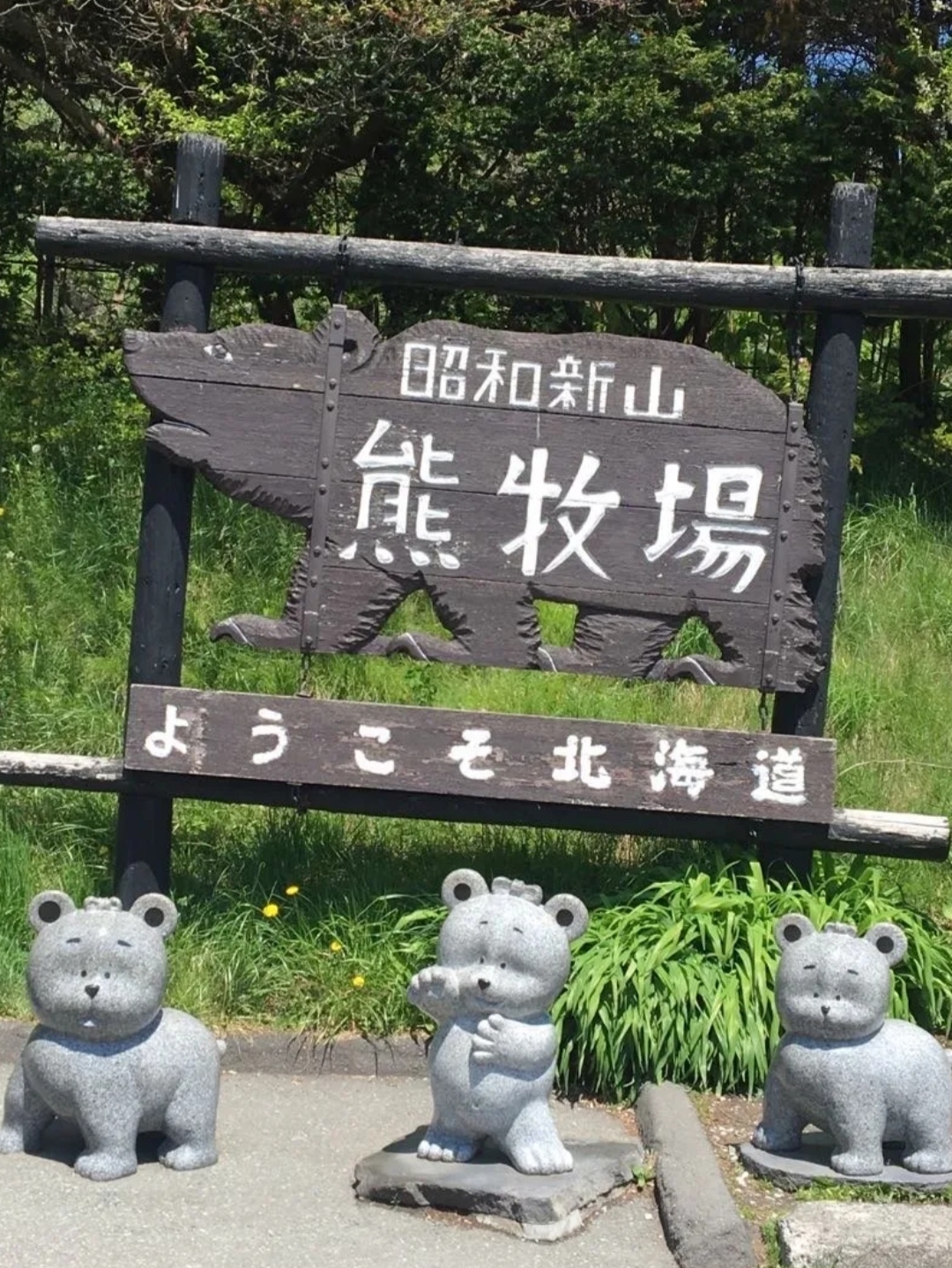 岛国旅游｜北海道看熊🐻的地方