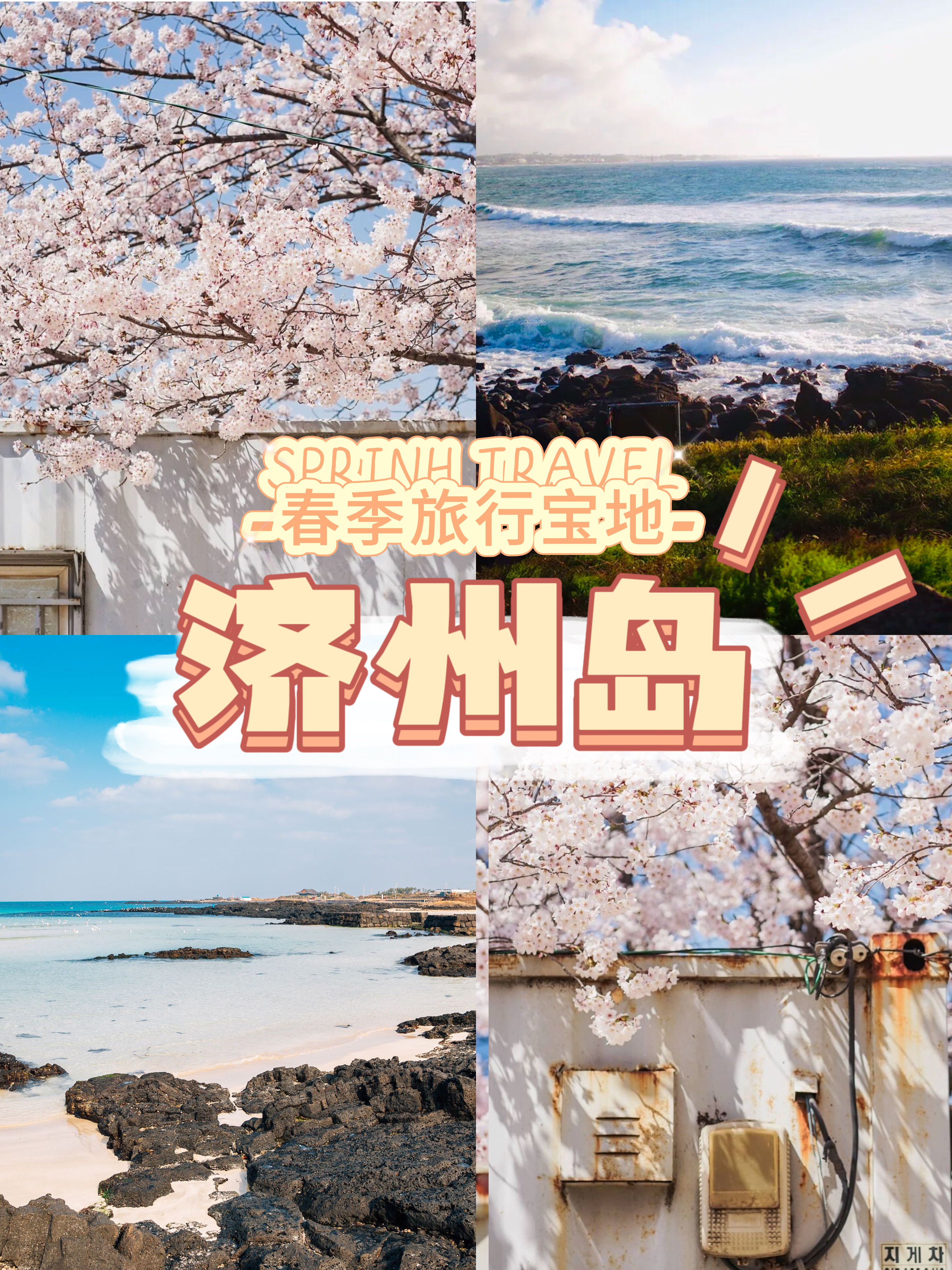 春季旅行宝地大公开🌸济州岛也上榜⁉️