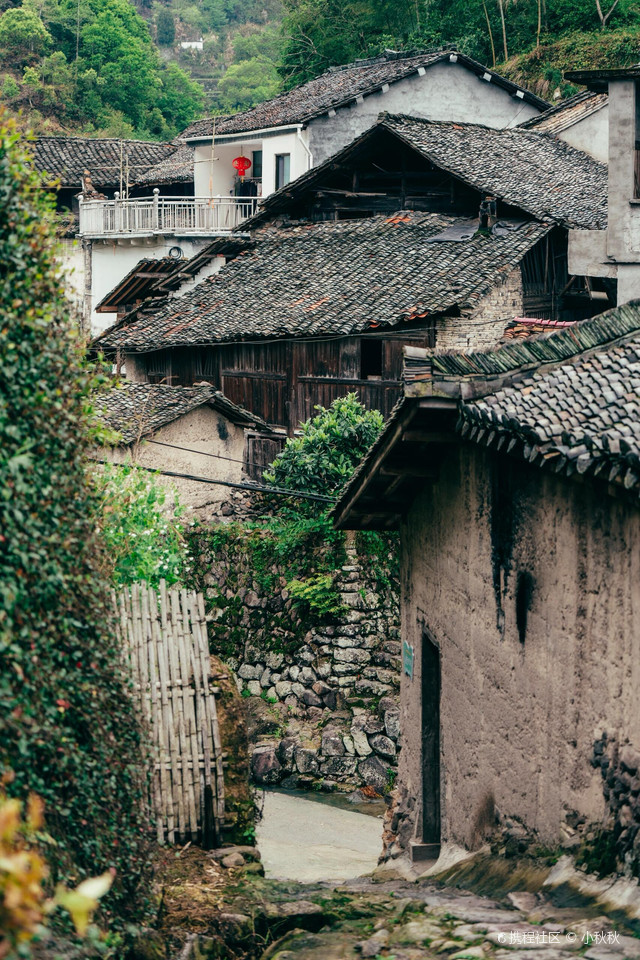 武义小众村落,|山下有座村名曰山下鲍