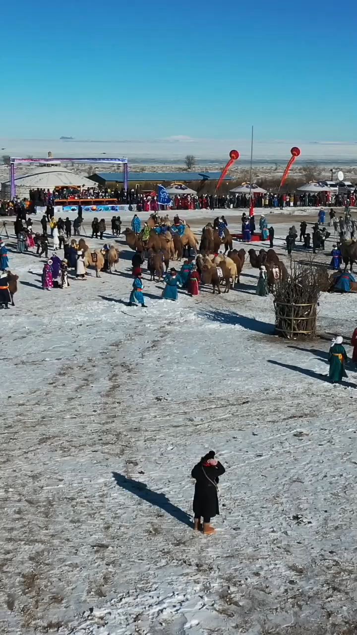 克什克腾旗骆驼文化节 