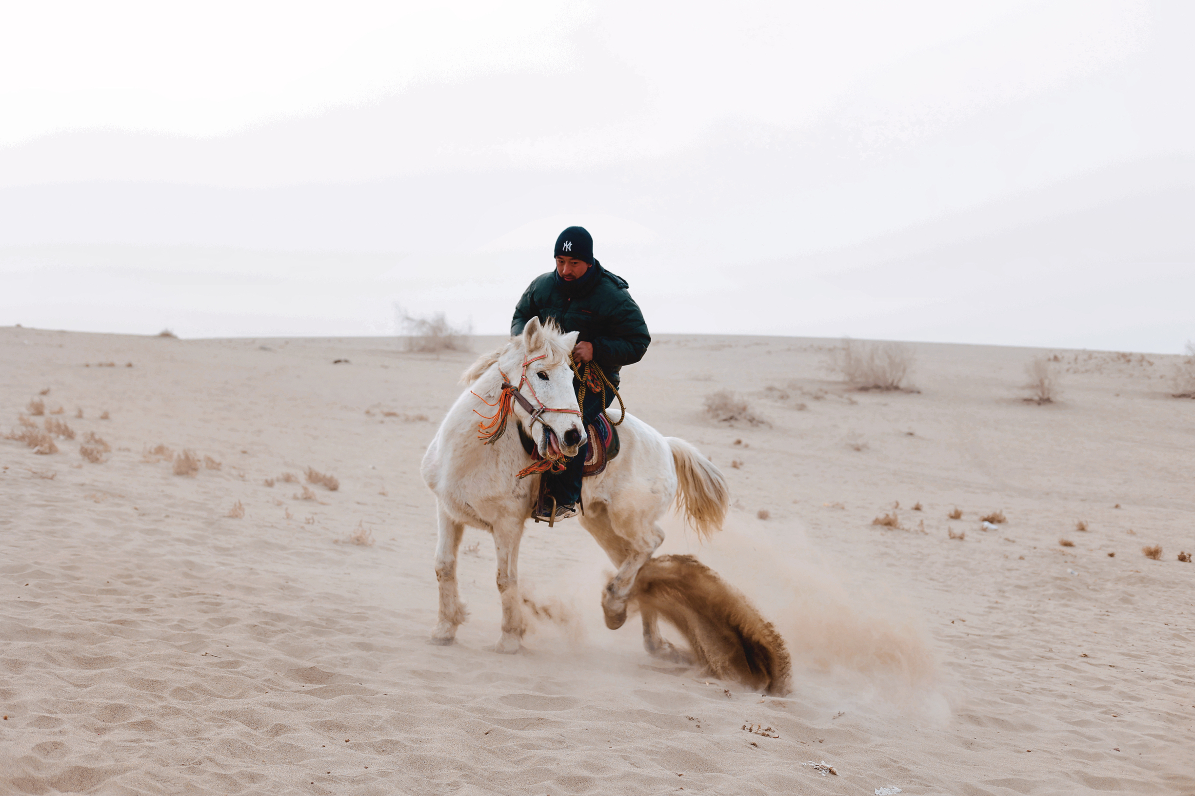骑着沙漠摩托车纵情越野，在马背上体验自由的感觉，和田洛浦玉龙湾沙漠旅游风景区将，沙漠、绿洲、湖泊完美
