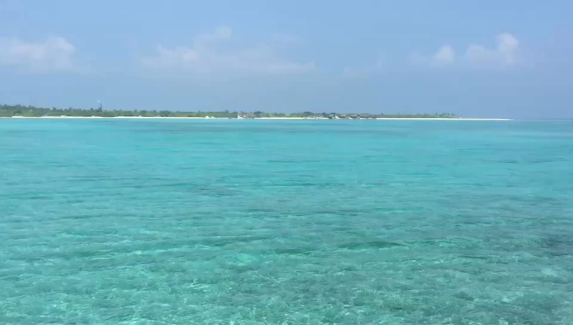 马尔代夫 神仙珊瑚岛
