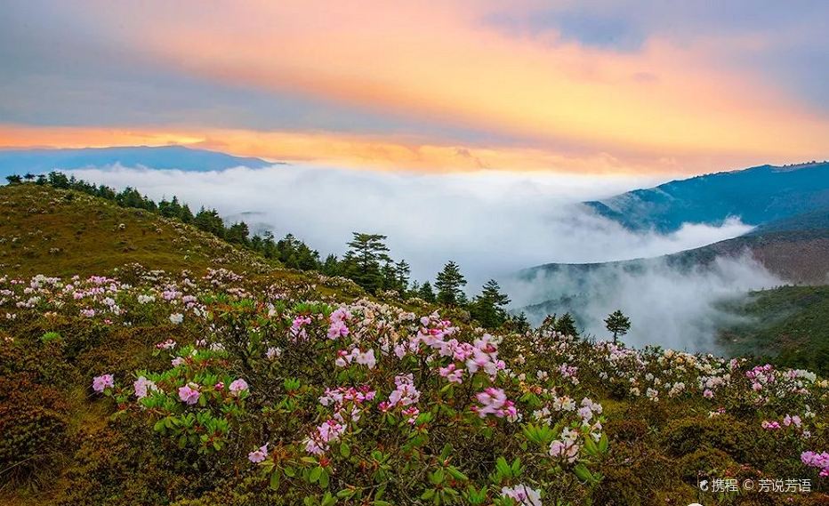 四川凉山金阳：风景这边独好