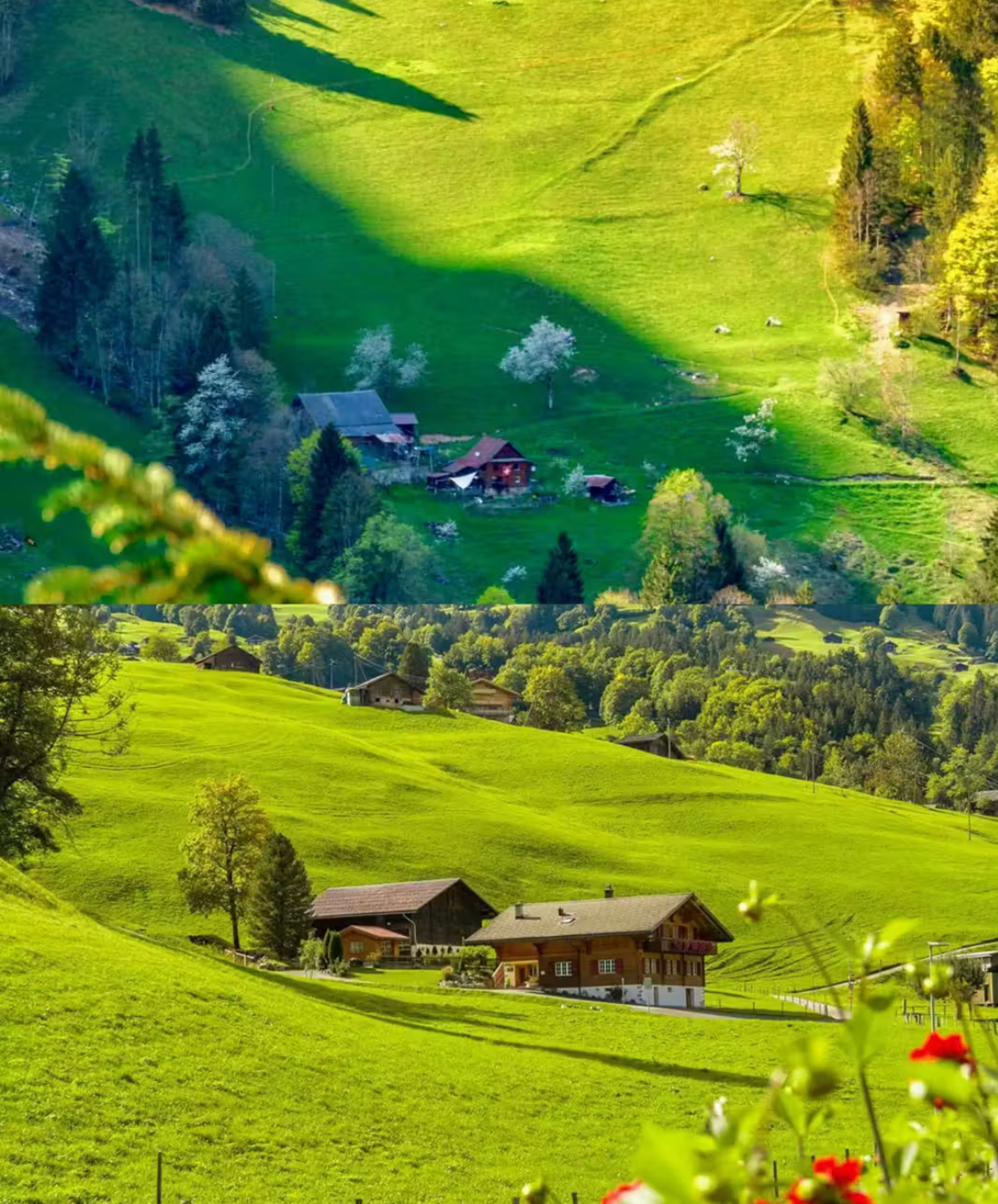 童话般的世界，美到窒息，有机会过来走一走吧多 #你身边的爱乐之城同款景点 #瑞士合瑞士有着壮丽的自然