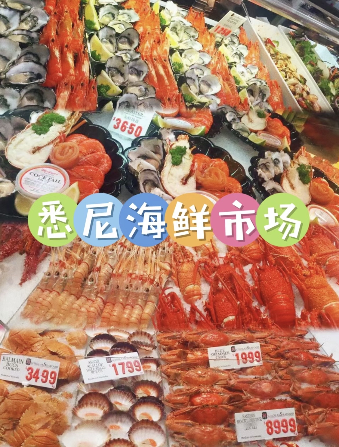 悉尼海鲜市场☝️寻找新鲜海鲜的终极目的