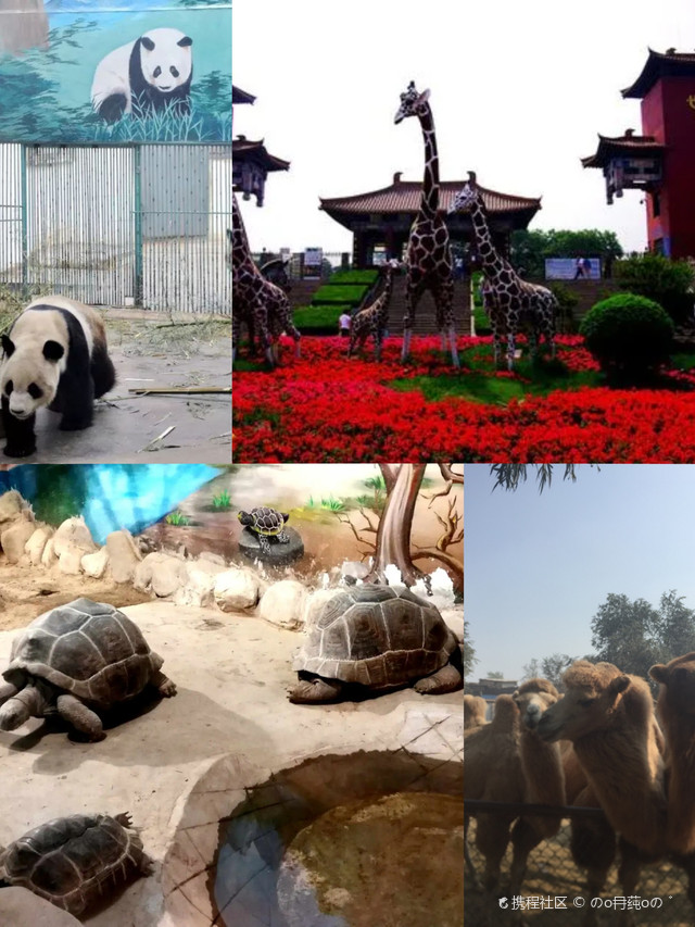 太原动物园位于山西省太原市杏花岭区东山马路2号