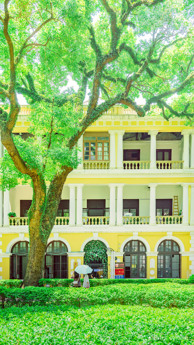 广州沙面拍照打卡好去处不可错过的宝藏地方
