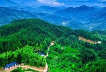 三爪仑国家森林公园景点图片