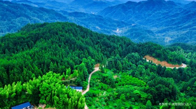 三爪仑国家森林公园