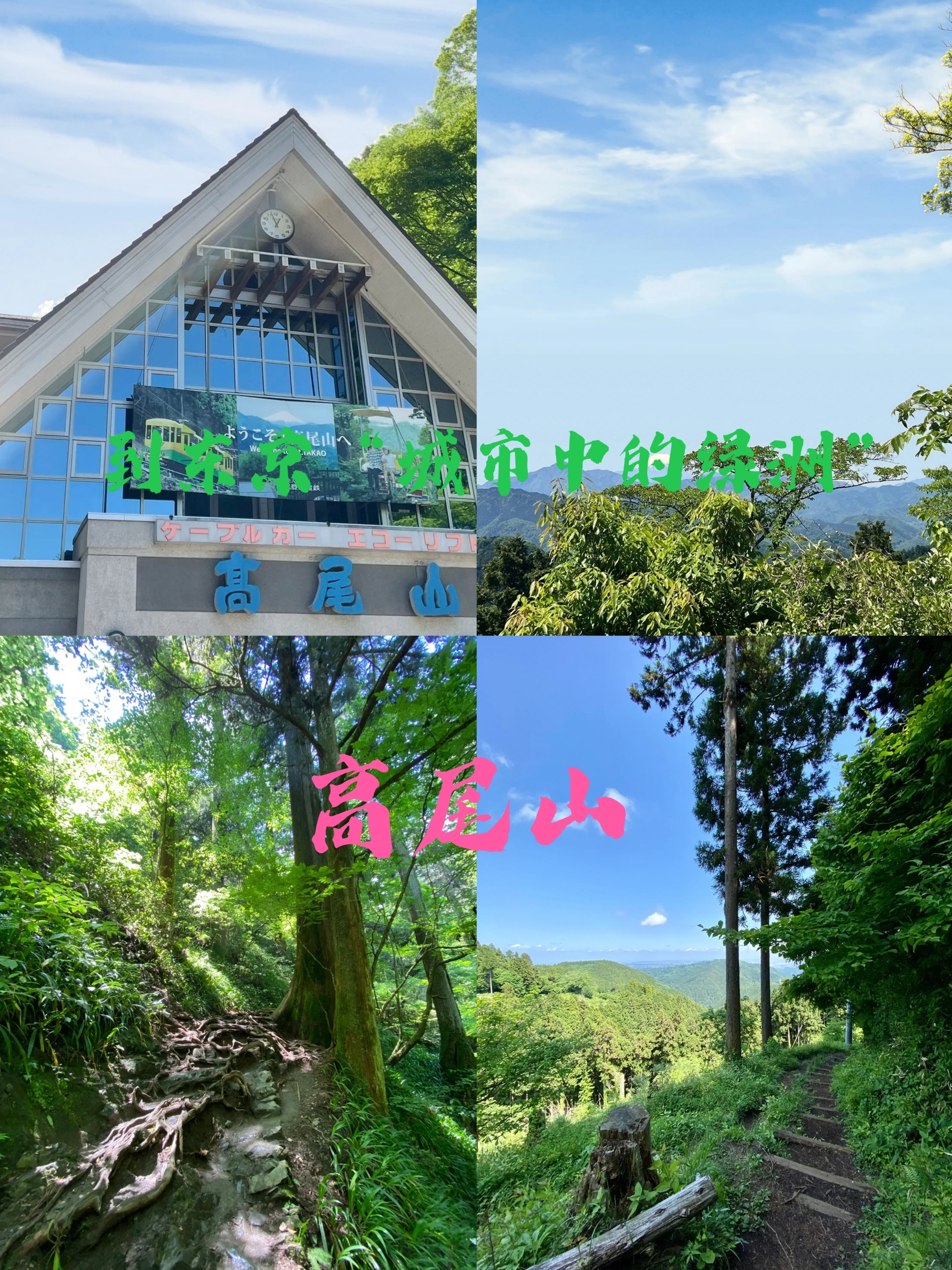 🌈打卡东京最高峰之一‖也被誉为“城市中的绿洲”高尾山💕
