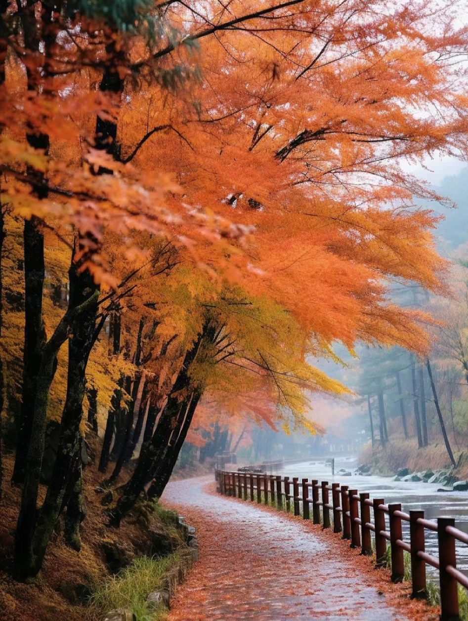 🍂秋叶如诗，红透半边天。🍁林间小径，秘境般静谧。湖泊与山峦，相映成趣。🏞️此刻，世外桃源不过如此。#