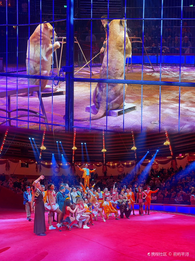 走进科龙马戏团:体验欧洲顶级马戏表演的魅力