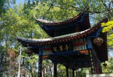 龙溪公园景点图片