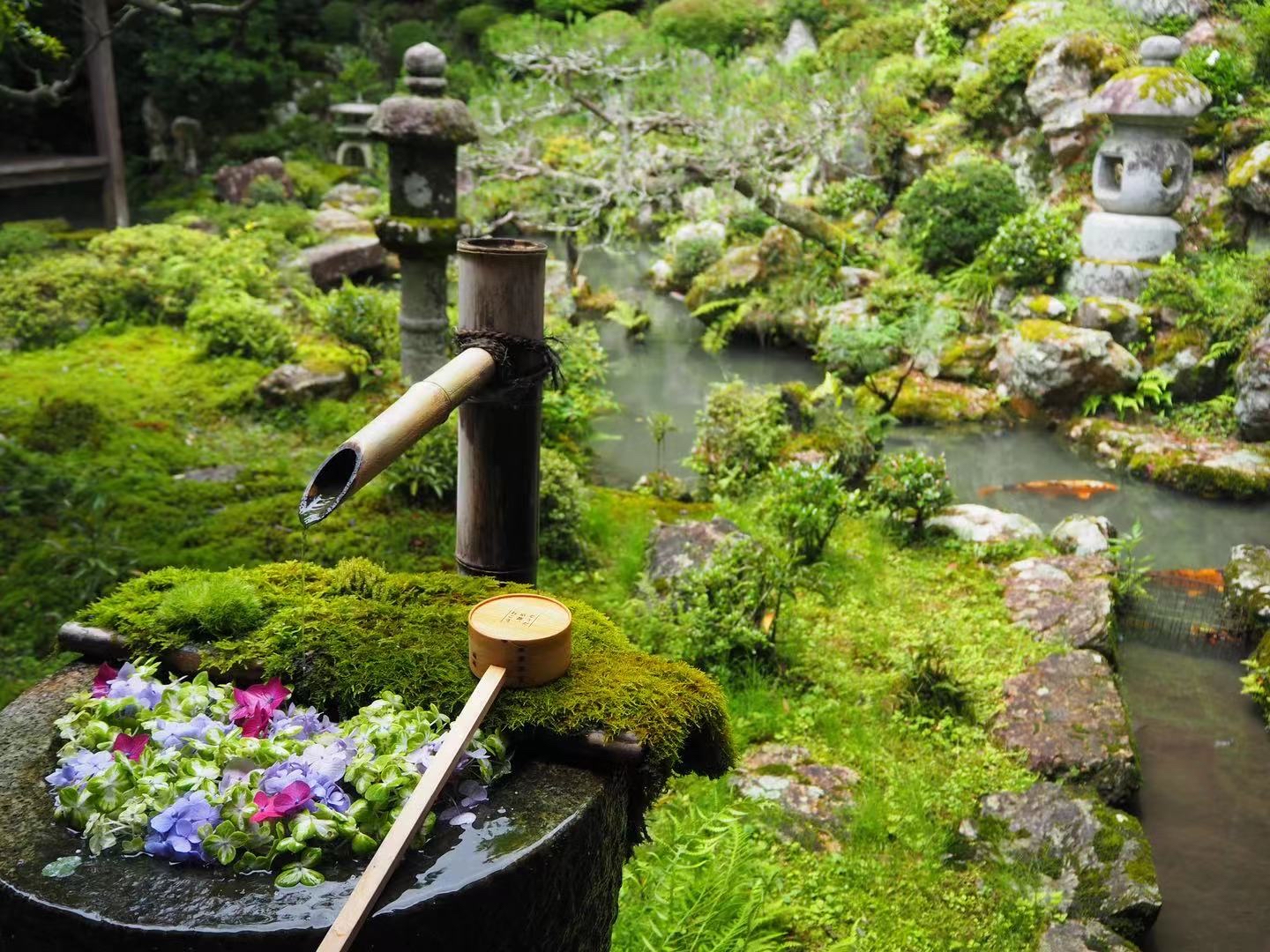 梅雨季节最吸睛的京都寺庙—柳谷观音杨谷寺