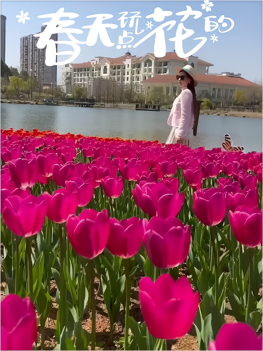 #春天玩点花的 衢州真的山清水秀，还有白鹭！都来看看花吧！