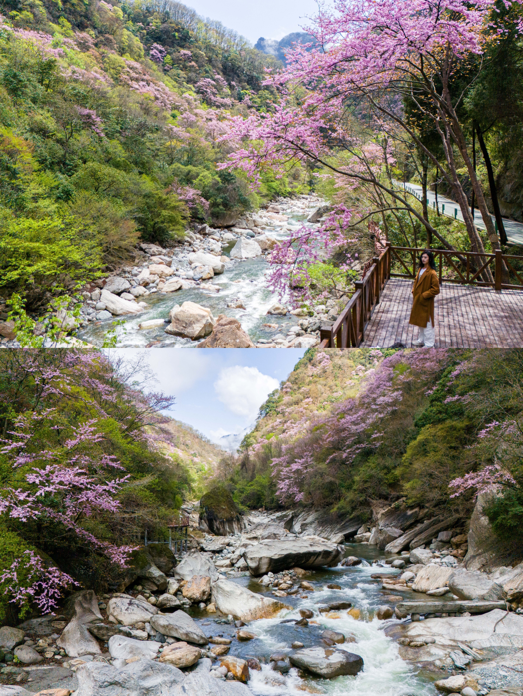 广元宝藏景点，春暖花开时候赶紧去打卡～